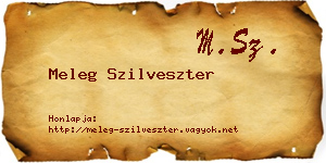 Meleg Szilveszter névjegykártya