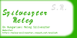 szilveszter meleg business card